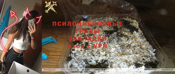 соль ск Переславль-Залесский