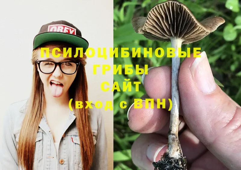 Псилоцибиновые грибы Magic Shrooms  Ангарск 