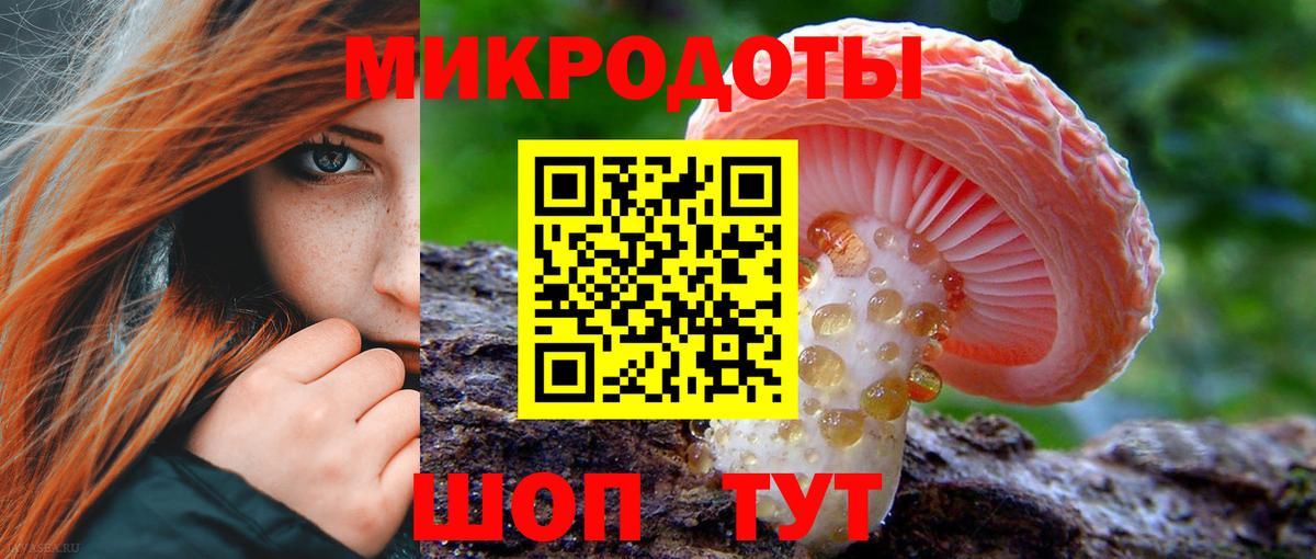 Псилоцибиновые грибы MAGIC MUSHROOMS  купить закладку  Галлюциногенные грибы мицелий  Ангарск  Вход с VPN 