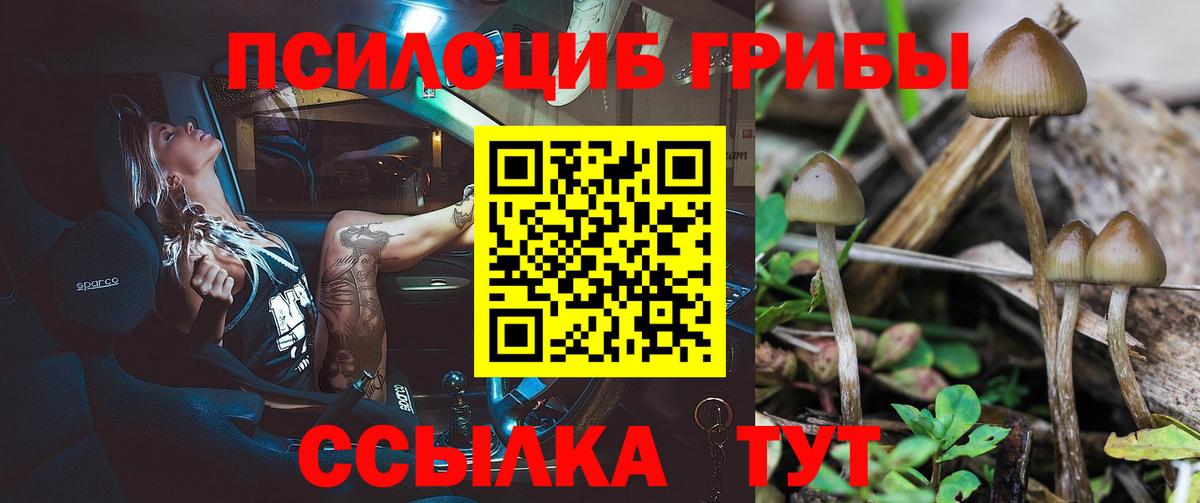 Псилоцибиновые грибы Magic Shrooms Ангарск