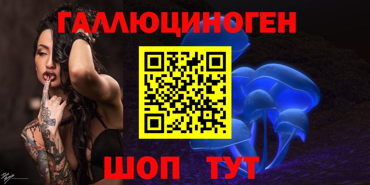 Ангарск  Псилоцибиновые грибы мицелий  где продают   Вход с VPN  Псилоцибиновые грибы Psilocybine cubensis 