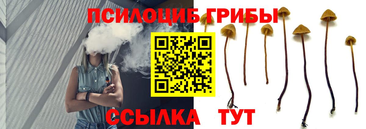 Галлюциногенные грибы MAGIC MUSHROOMS Ангарск